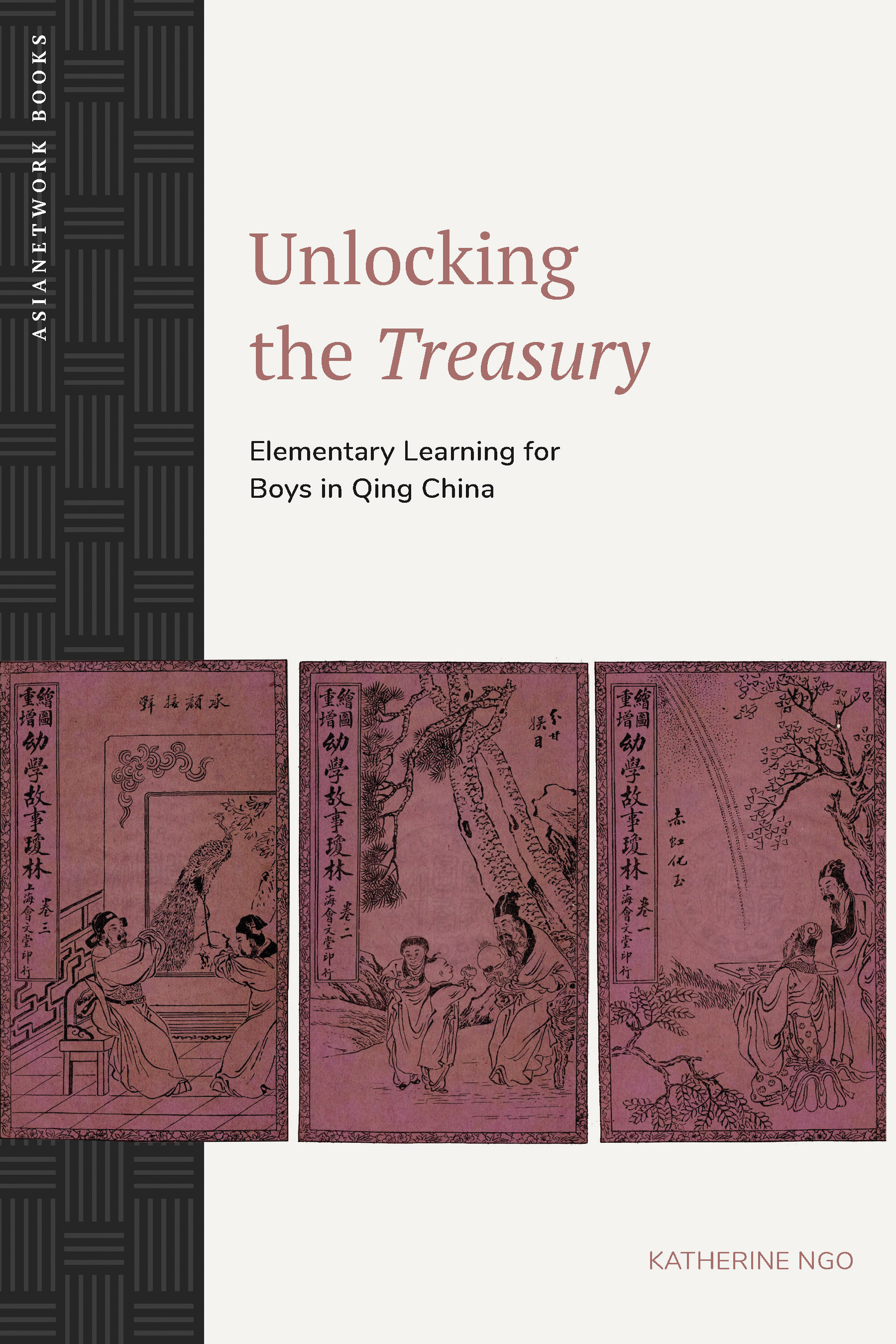 cover of Unlocking the <i>Treasury</i>: Elementary Learning for Boys in Qing China